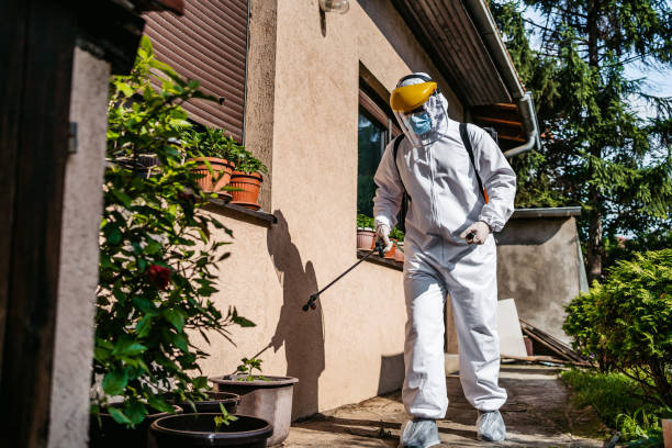 Best Pest Control Near Me in Yorktown, IN