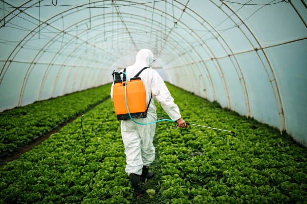 Pest Control for Restaurants in Yorktown, IN