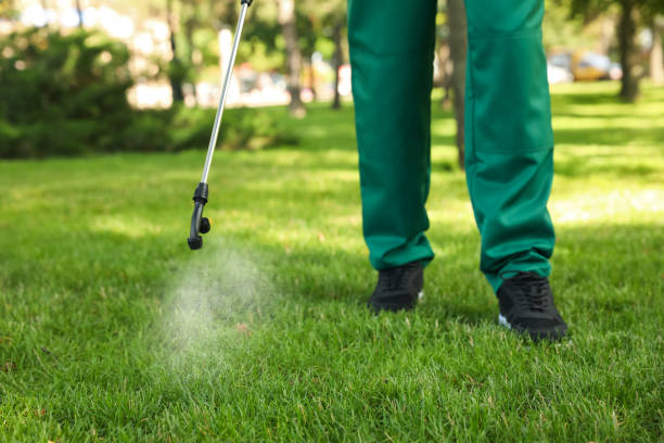 Best Ant Control Services  in Yorktown, IN