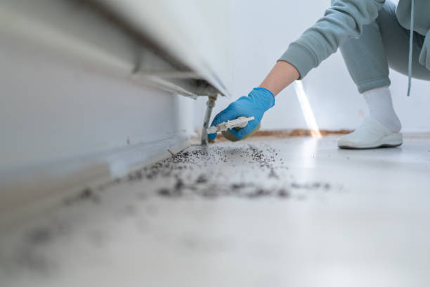 Best Wasp Removal Services  in Yorktown, IN